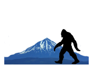 images.raceentry.com/infopages1/sasquatch-backroads-run-infopages1-5321.png