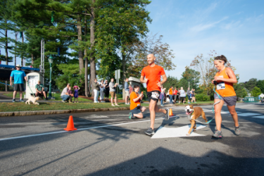 images.raceentry.com/infopages1/save-a-stray-5k-infopages1-26558.png