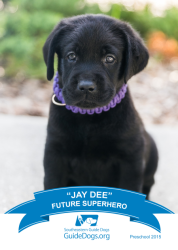 images.raceentry.com/infopages1/southeastern-guide-dog-wag-n-run-infopages1-4298.png