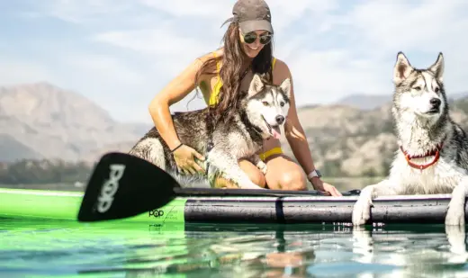 images.raceentry.com/infopages1/sup-4-pups--infopages1-58166.webp