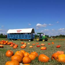 images.raceentry.com/infopages1/the-pumpkin-patch-run-mainstay-farm-infopages1-52586.png