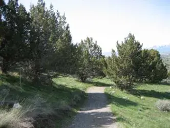 images.raceentry.com/infopages1/urban-trail-run-7-infopages1-2383.webp