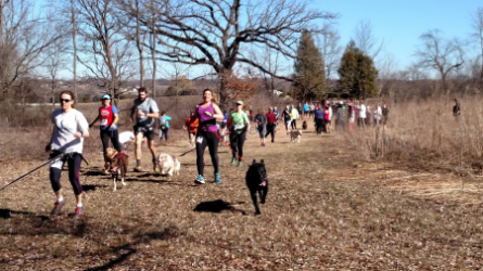 images.raceentry.com/infopages2/boreas-trail-adventure-infopages2-4526.png