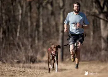 images.raceentry.com/infopages2/cani-cross-america-infopages2-53547.webp