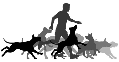 images.raceentry.com/infopages2/dog-jog-minong-wi-infopages2-52999.png