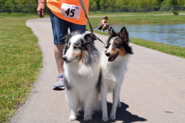images.raceentry.com/infopages2/doggie-dash-and-canine-carnival-infopages2-53658.png