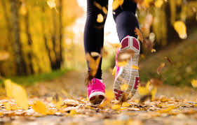 images.raceentry.com/infopages2/fall-foliage-family-5k-walkrun-infopages2-3867.png