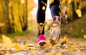 images.raceentry.com/infopages2/fall-foliage-family-5k-walkrun-infopages2-3867.webp
