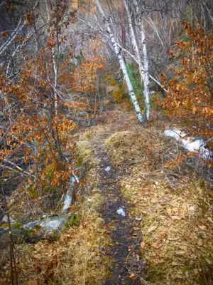 images.raceentry.com/infopages2/fixed-locations-virtual-trail-series-infopages2-55786.webp