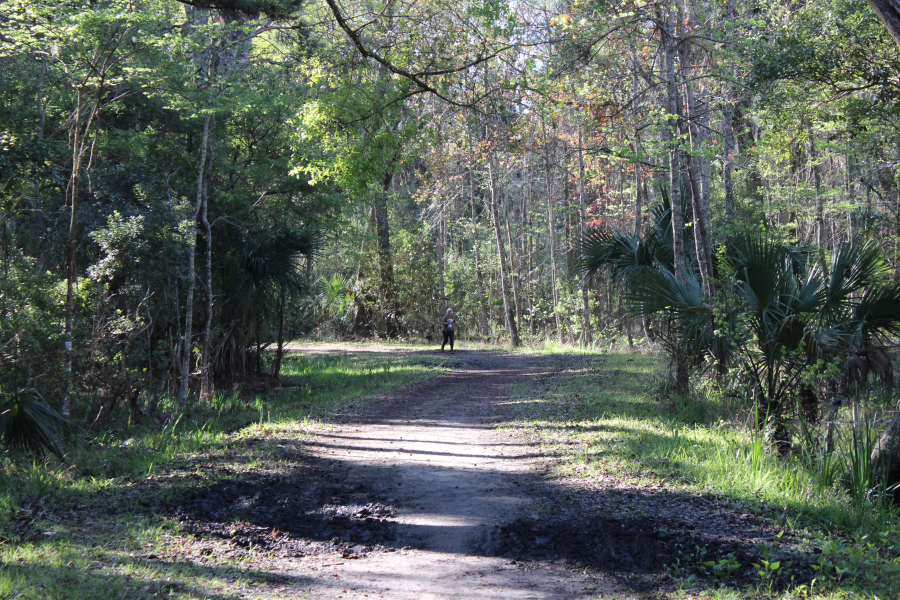 images.raceentry.com/infopages2/jungle-run-infopages2-58720.png
