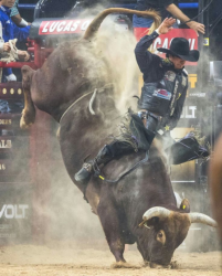 images.raceentry.com/infopages2/lacombe-pro-bull-riding-infopages2-12496.png