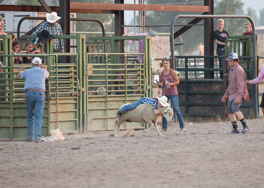 images.raceentry.com/infopages2/little-cowboy-rodeo-infopages2-12531.png