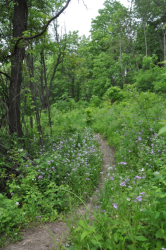 images.raceentry.com/infopages2/meraki-trail-adventure-infopages2-53430.png