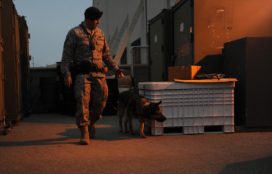 images.raceentry.com/infopages2/military-working-dogs-infopages2-4595.png