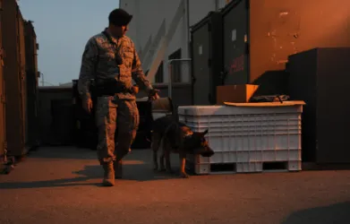 images.raceentry.com/infopages2/military-working-dogs-infopages2-4595.webp