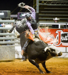 images.raceentry.com/infopages2/nacogdoches-pro-rodeo-and-steer-show-infopages2-12478.png