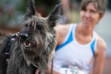 images.raceentry.com/infopages2/save-a-stray-5k-infopages2-26558.png