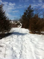 images.raceentry.com/infopages2/schneeflocke-trail-adventure-infopages2-6800.webp