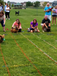 images.raceentry.com/infopages2/sunset-doxie-derby-infopages2-4499.png