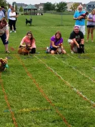 images.raceentry.com/infopages2/sunset-doxie-derby-infopages2-4499.webp