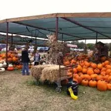 images.raceentry.com/infopages2/the-pumpkin-patch-run-fort-worth-texas-infopages2-52586.webp