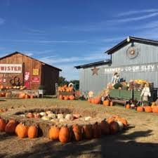 images.raceentry.com/infopages2/the-pumpkin-patch-run-yesterland-farms-infopages2-52587.png