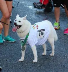 images.raceentry.com/infopages2/tonys-turkey-trot-for-brain-injury-and-alzheimers-awareness-infopages2-3299.webp