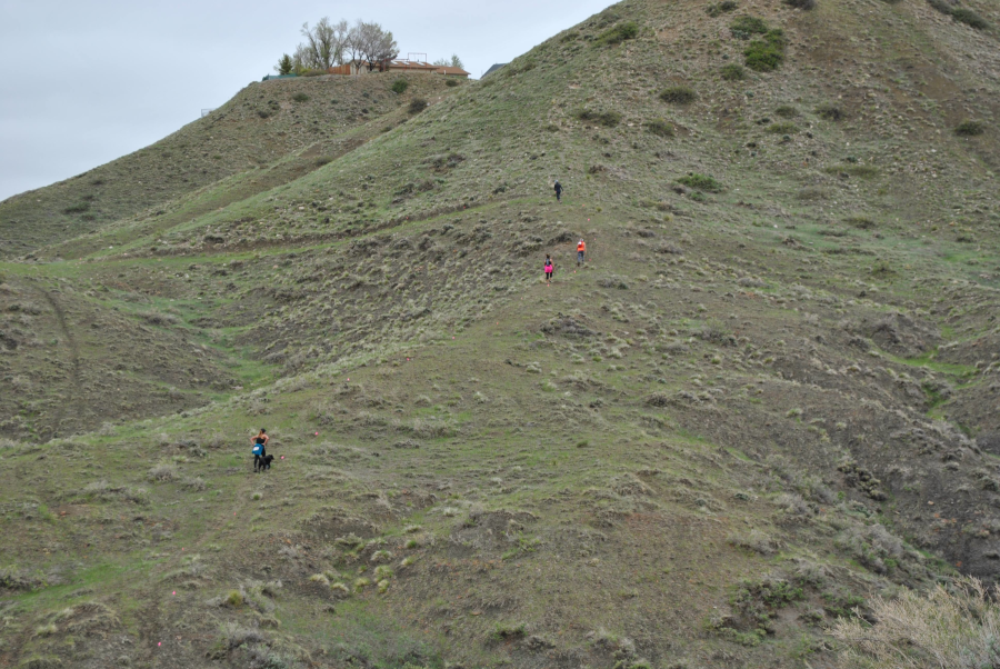 images.raceentry.com/infopages2/trail-mix-run-wyoming-infopages2-54741.png