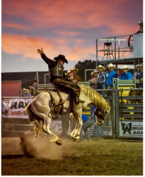 images.raceentry.com/infopages3/flint-hills-rodeo-infopages3-12501.png