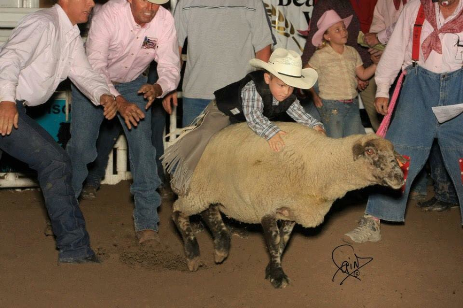 images.raceentry.com/infopages3/golden-spike-rodeo-infopages3-12534.png