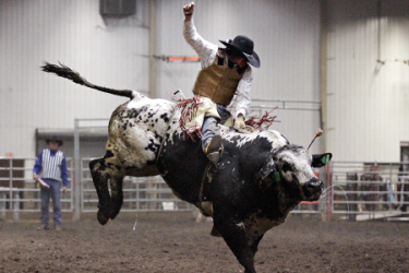 images.raceentry.com/infopages3/lacombe-pro-bull-riding-infopages3-12496.png