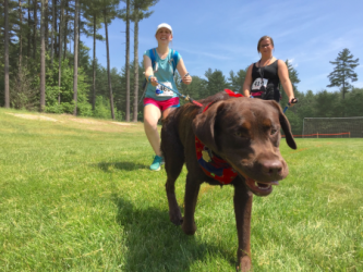 images.raceentry.com/infopages3/metrowest-k9-5k-infopages3-4807.png