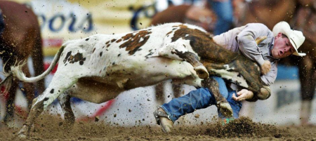 images.raceentry.com/infopages3/texas-tech-open-rodeo-infopages3-12491.png