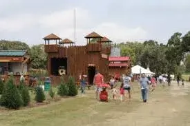 images.raceentry.com/infopages3/the-pumpkin-patch-run-dallas-and-east-texas-infopages3-52587.webp