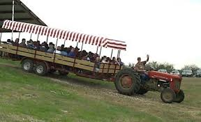 images.raceentry.com/infopages3/the-pumpkin-patch-run-mainstay-farm-infopages3-52586.png
