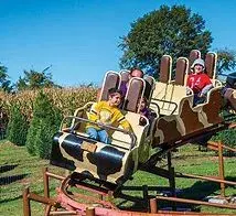 images.raceentry.com/infopages3/the-pumpkin-patch-run-tyler-infopages3-52765.webp