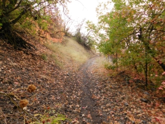 images.raceentry.com/infopages3/urban-trail-run-6-infopages3-4033.png