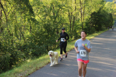 images.raceentry.com/infopages3/wvu-im-for-global-health-5k-infopages3-47294.png