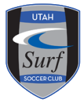 Surf Ride The Wave 5K registration logo