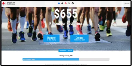 dedicated charity race fundraiser page