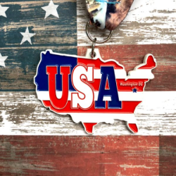 Virtual World Racers Country Races registration logo