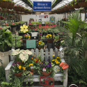 Patchwork Greenhouse logo