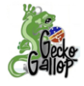 17 Geckos, Inc. logo