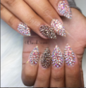 Elma Dzanic - Nail/Spa gift set  logo