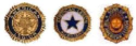 Nicollet American Legion logo