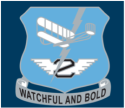 Second Wing  logo