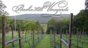 Bashakill Vineyards logo