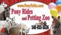 Pony 2 Go logo