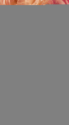 Karen Bergmann logo