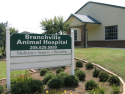 Branchville Animal Hospital  logo
